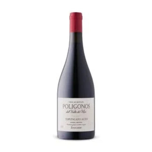 Zuccardi Poligonos Malbec 2019 – 750ML