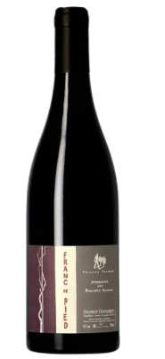 Thierry Germain Saumur Champigny Franc De Pied 2019 750 ML